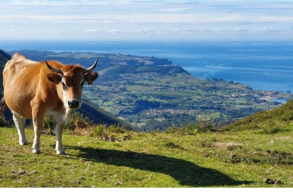 Casa Todah, Playas Y Montanas Duesos Εξωτερικό φωτογραφία